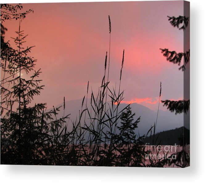 Kootenay Lake Acrylic Print featuring the photograph Pink Sky and Grasses by Leone Lund
