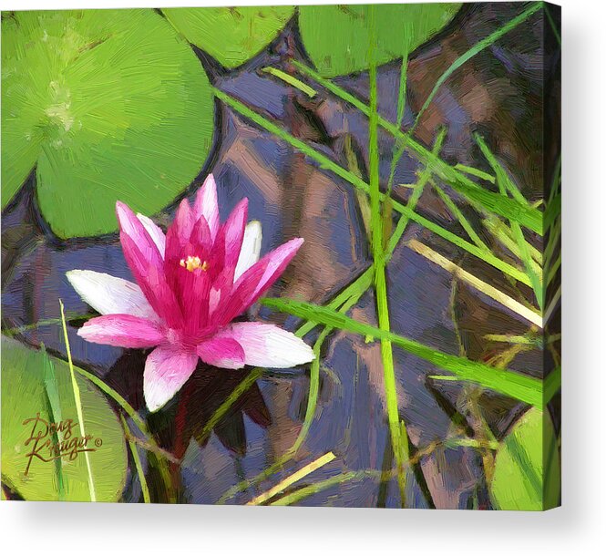 Pink Water Lily Painting By Doug Kreuger Acrylic Print featuring the painting Pink Water Lily by Doug Kreuger