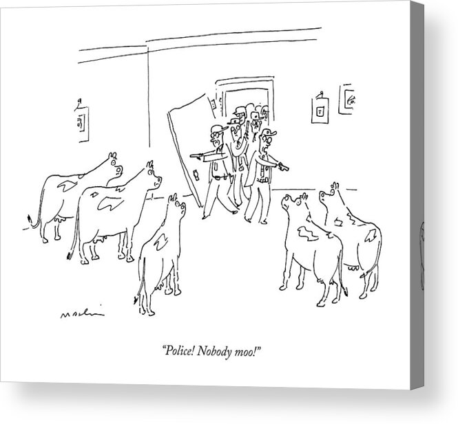 Cows Acrylic Print featuring the drawing Police Burst In With Guns To A Room Filled by Michael Maslin