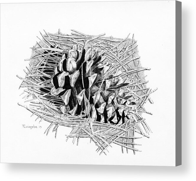 Pen Acrylic Print featuring the drawing Ponderosa Pine Cone by Timothy Livingston