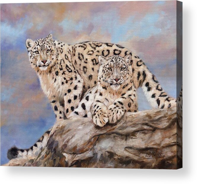 Snow Leopard Acrylic Print featuring the painting Princes Of The Peaks by David Stribbling