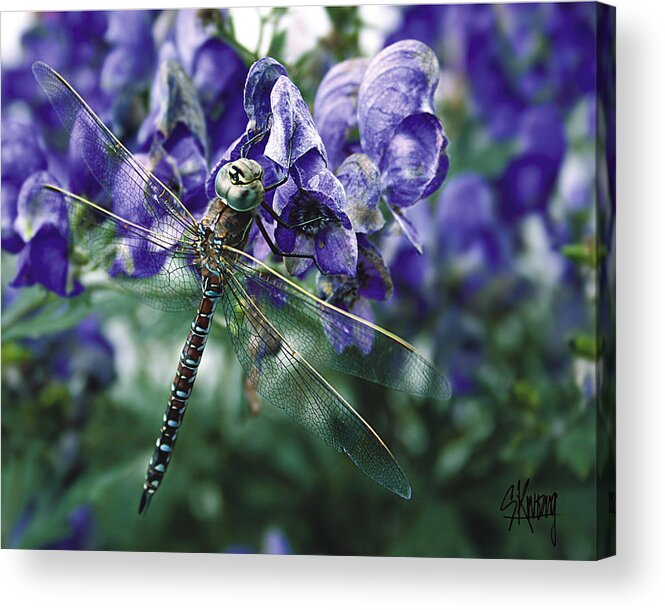 Dragonfly Acrylic Print featuring the photograph Purple Dragonfly by Stan Kwong