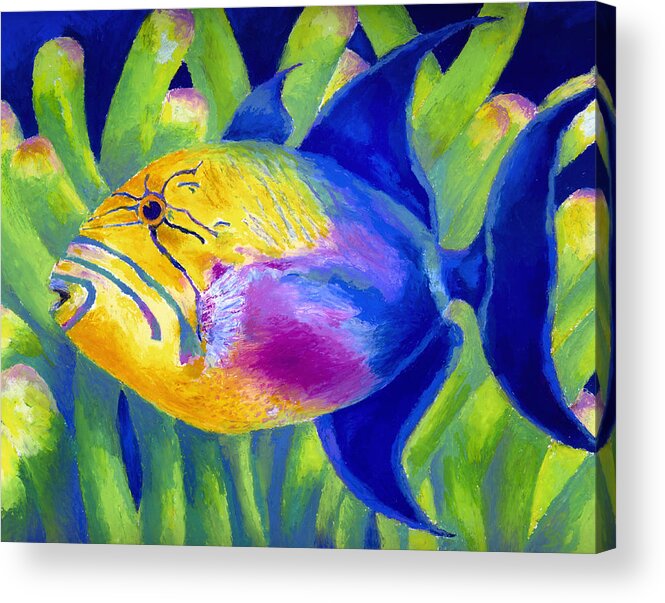 Underwater Acrylic Print featuring the painting Queen Triggerfish by Stephen Anderson