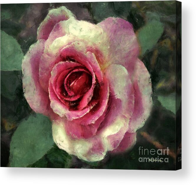 Rose Acrylic Print featuring the painting Ragged Satin Rose by RC DeWinter