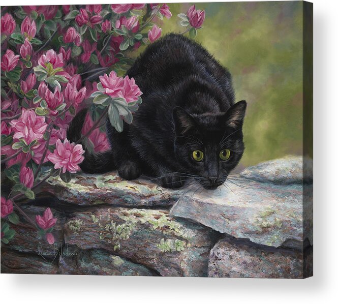 Cat Acrylic Print featuring the painting Ready To Pounce by Lucie Bilodeau