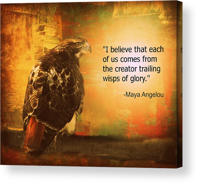 Red-tailed Hawk Acrylic Print featuring the photograph Red-Tailed Hawk with Maya Angelou Quote by Aurelio Zucco