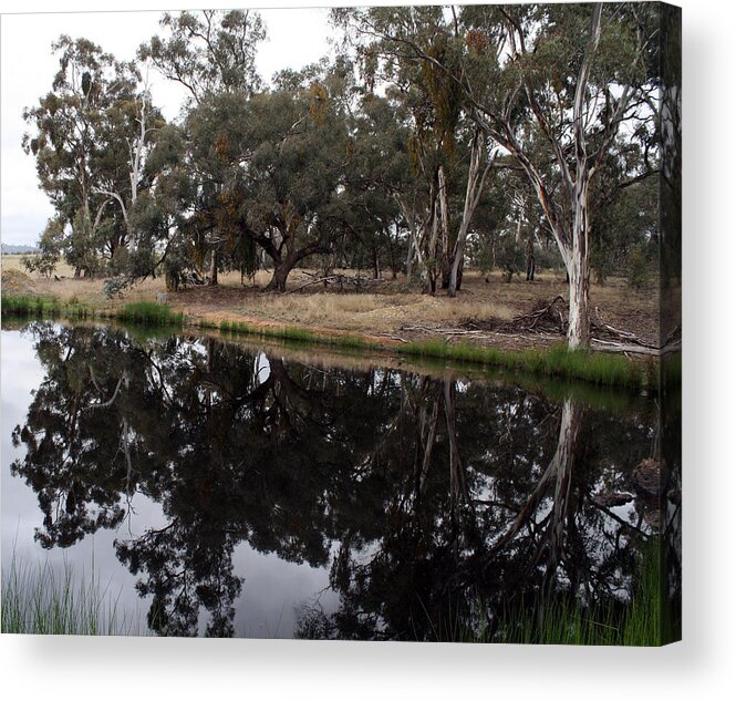 Trees Acrylic Print featuring the photograph Reflections2 by Mary Sablovs