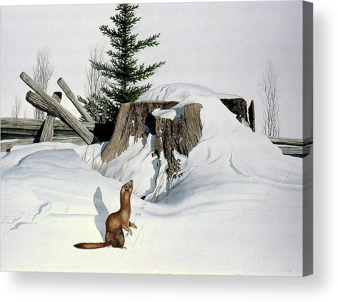 Winter Acrylic Print featuring the painting Restless Hunter by Conrad Mieschke