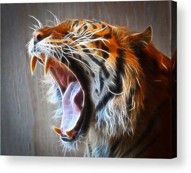 Wildlife Acrylic Print featuring the photograph Roaring Tiger by Steve McKinzie