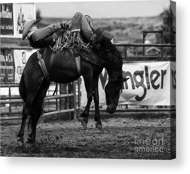 Horse Riding Acrylic Print featuring the photograph Rodeo Power Of Conviction by Bob Christopher
