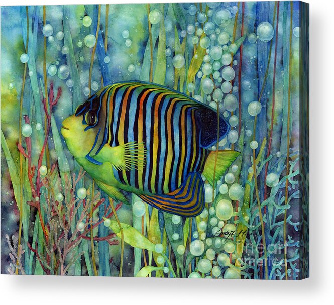 Fish Acrylic Print featuring the painting Royal Angelfish by Hailey E Herrera