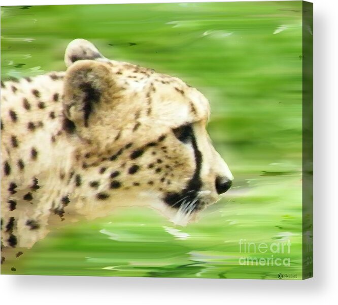  Acrylic Print featuring the digital art Run Cheetah Run by Lizi Beard-Ward