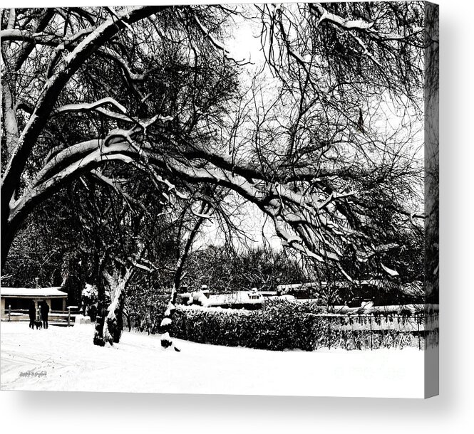 Trees Acrylic Print featuring the digital art Santa Fe Snow Day by Rhonda Strickland