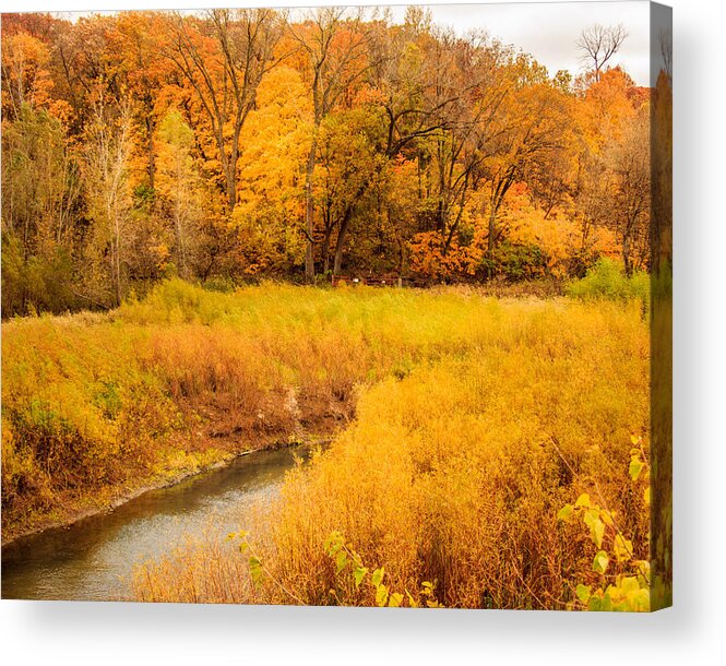 Autumn Acrylic Print featuring the photograph Scene of Gold by Shari Brase-Smith
