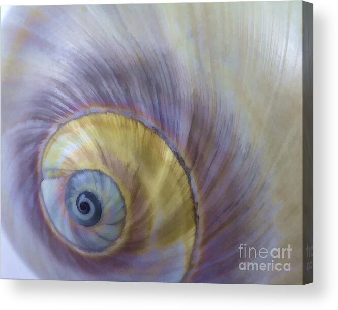 Digital Oil Painting Acrylic Print featuring the photograph Seashell - eye of the sea by Carole Lloyd