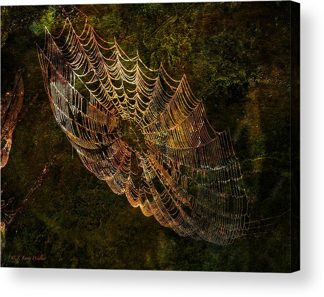 J Larry Walker Acrylic Print featuring the digital art Secret Spider Sanctuary by J Larry Walker