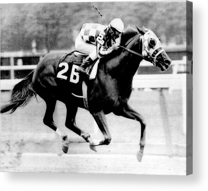 Classic Acrylic Print featuring the photograph Secretariat Vintage Horse Racing #12 by Retro Images Archive