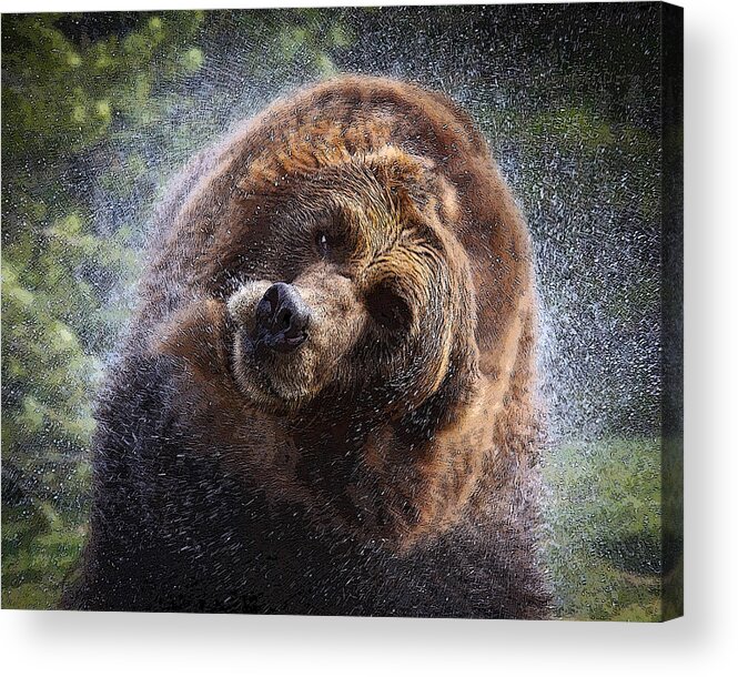 Griz Acrylic Print featuring the photograph Shake it Off by Steve McKinzie