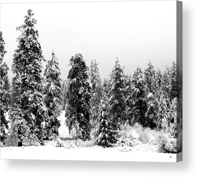 Snowy Morn Acrylic Print featuring the photograph Snowy Morn by Will Borden