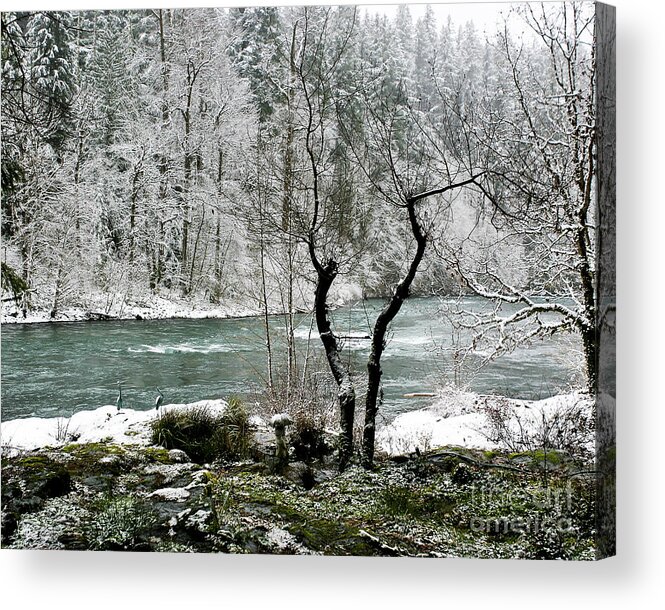 River Acrylic Print featuring the photograph Snowy River and Bank by Belinda Greb