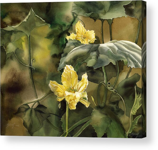 Watercolor Acrylic Print featuring the painting Squash Blossoms by Alfred Ng