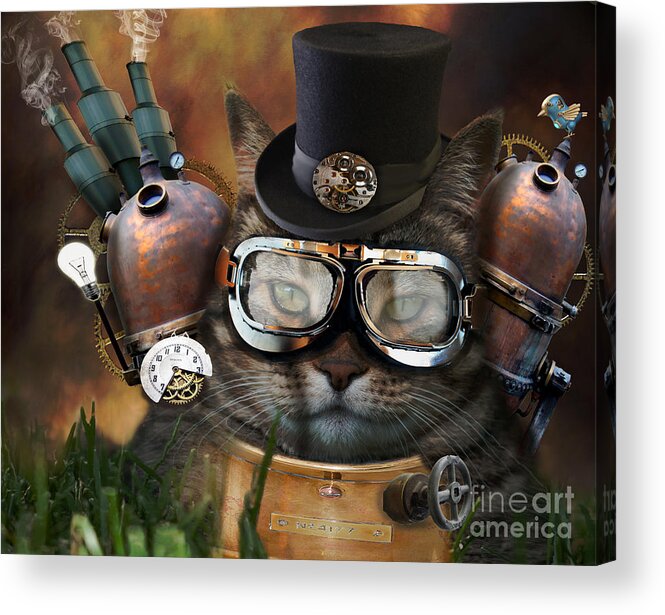 Cat Acrylic Print featuring the photograph Steampunk Cat by Juli Scalzi