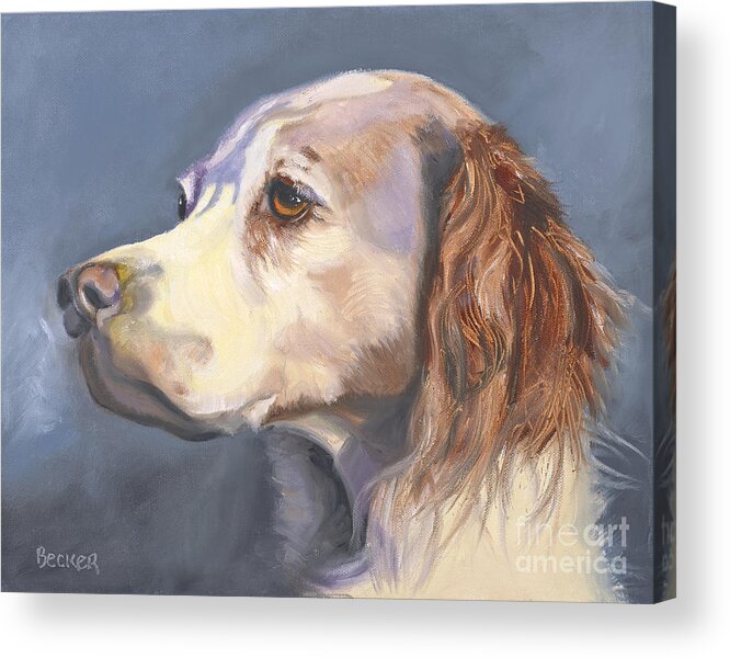 Spaniel Acrylic Print featuring the painting Such a Spaniel by Susan A Becker