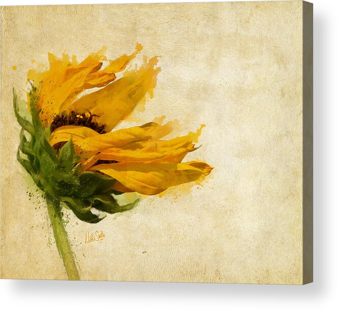 Sunflower Acrylic Print featuring the digital art Sunflower Breezes by Nikki Marie Smith