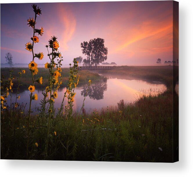 Sunset Acrylic Print featuring the photograph Sunflower Sunrise by Ray Mathis
