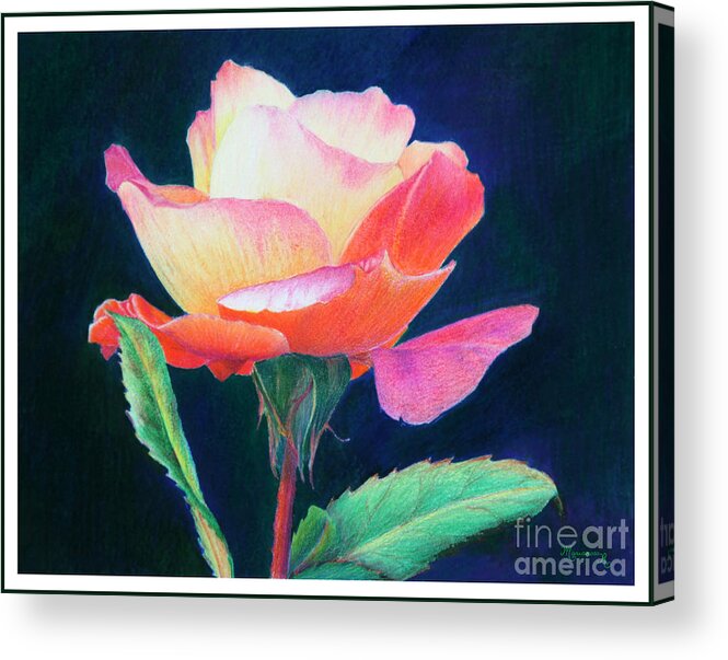 Rose Acrylic Print featuring the painting Sunlit Rose by Mariarosa Rockefeller