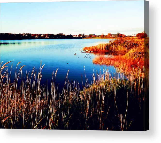 Beauty Acrylic Print featuring the photograph Sunny Afternoon by Zinvolle Art