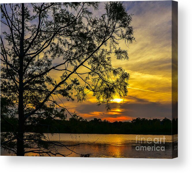 Lake Ivanhoe Acrylic Print featuring the photograph Sunsets Pirouette by Amanda Sinco