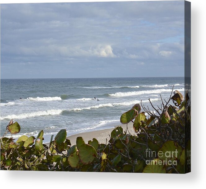 Beach Acrylic Print featuring the photograph Surfin' by Carol Bradley