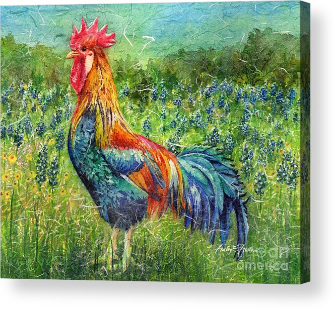 Rooster Acrylic Print featuring the painting Texas Glory by Hailey E Herrera