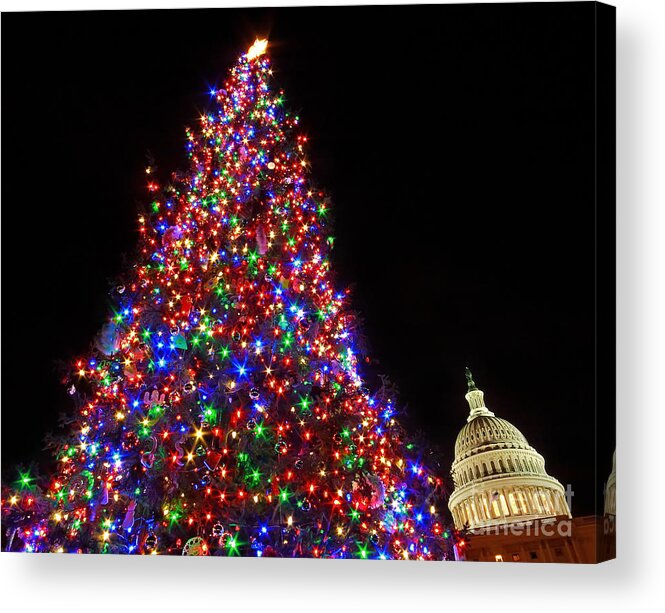 Us Capitol Acrylic Print featuring the photograph The Capitol Christmas Tree by SCB Captures