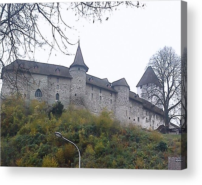 Castle Acrylic Print featuring the photograph The castle in Autumn by Felicia Tica