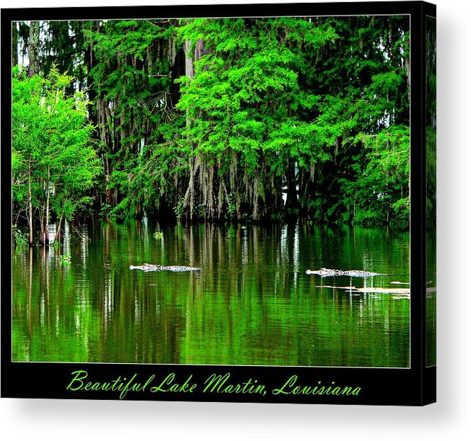 American Alligator Acrylic Print featuring the photograph The Lake Martin Habitat by Kimo Fernandez