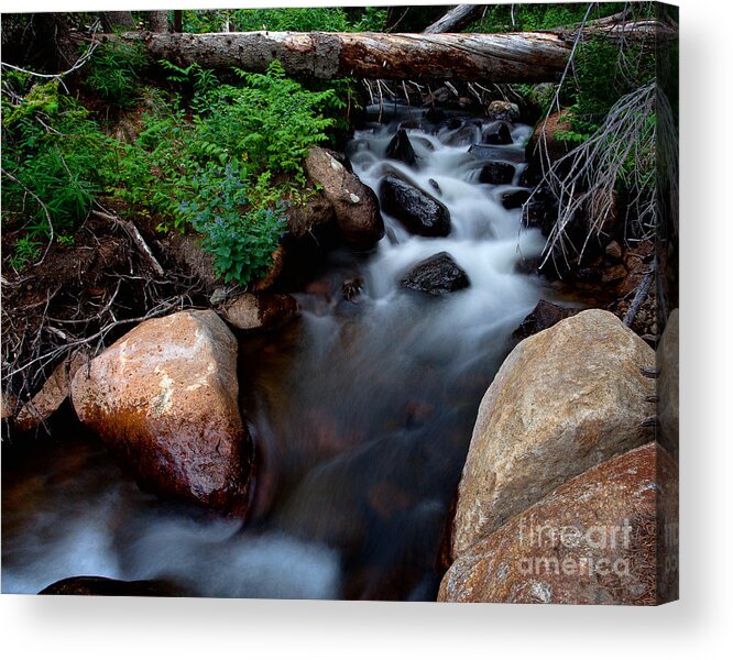 Rivers & Streams Acrylic Print featuring the photograph The Natural Bridge by Jim Garrison