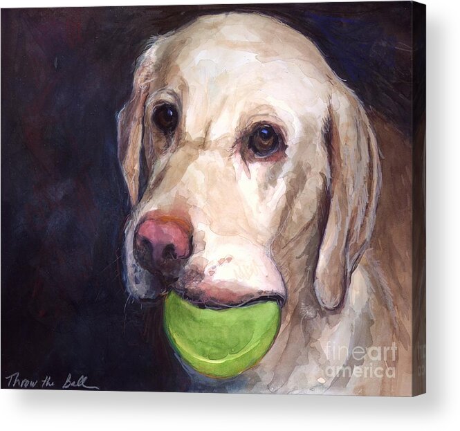 Yellow Labrador Retriever Acrylic Print featuring the painting Throw the Ball by Molly Poole