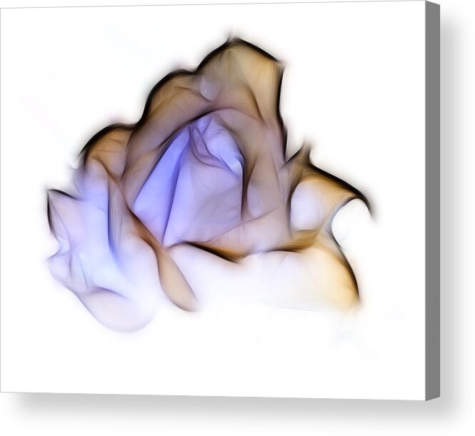 Rose Acrylic Print featuring the photograph To A Rose by Lynn Bolt