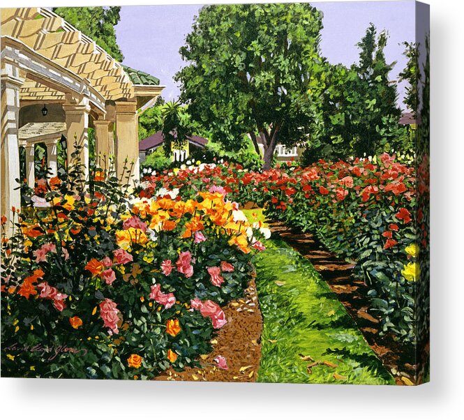 Roses Acrylic Print featuring the painting Tournament of Roses II by David Lloyd Glover
