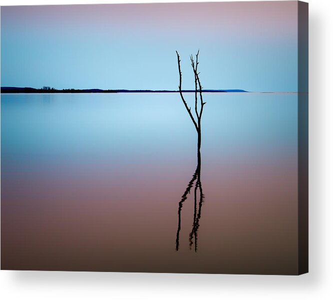 Sequoyah National Wildlife Refuge Acrylic Print featuring the photograph Tree in Lake by James Barber