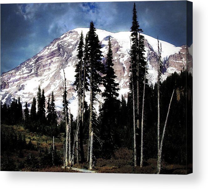 Trees Acrylic Print featuring the photograph Tree Line by Timothy Bulone