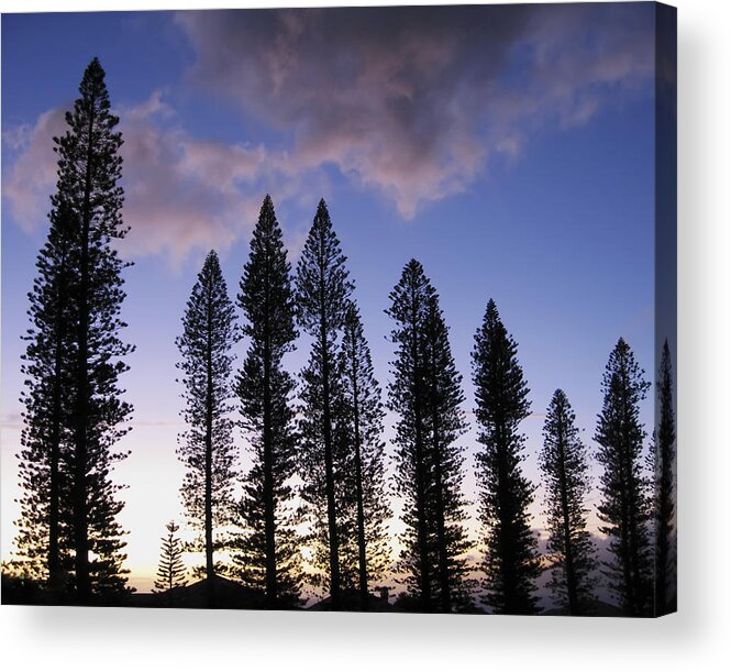 3scape Photos Acrylic Print featuring the photograph Trees in Silhouette by Adam Romanowicz