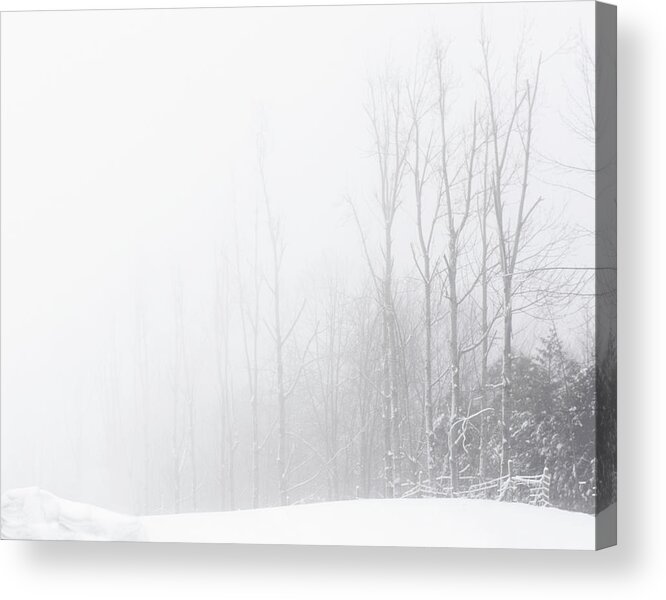 Scenics Acrylic Print featuring the photograph Trees In The Fog by Gail Shotlander