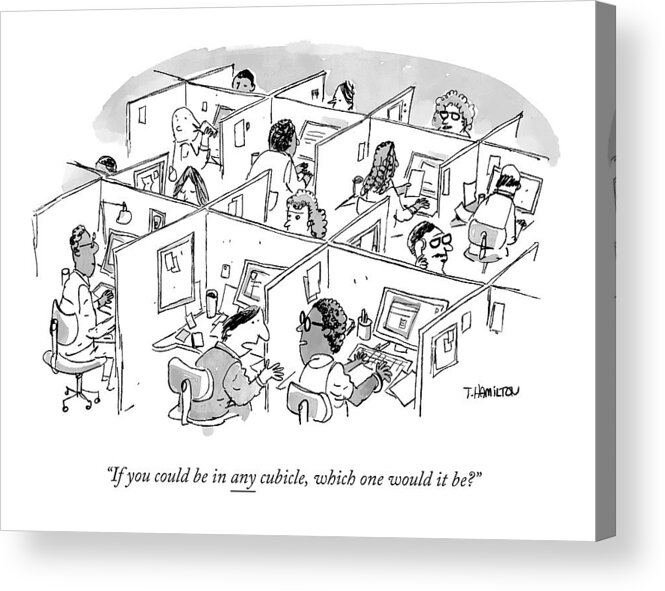 Job Acrylic Print featuring the drawing Two Cubicle Employees Talk by Tim Hamilton