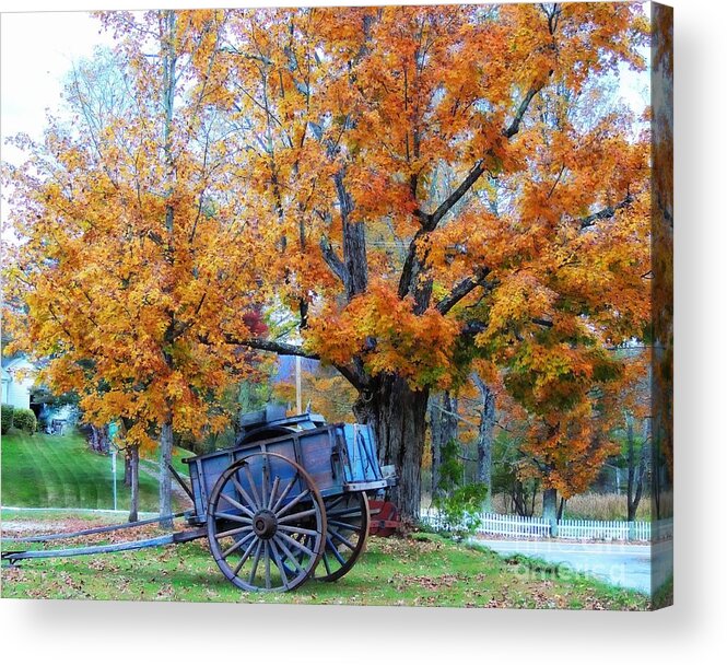 Transportation Acrylic Print featuring the photograph Under The Maple Tree by Marcia Lee Jones