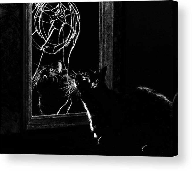 Unlucky Acrylic Print featuring the photograph Unlucky by Rick Mosher