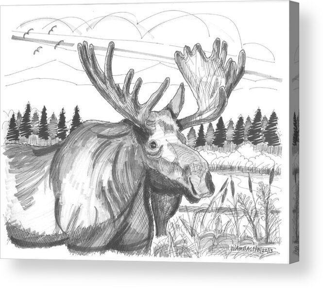 Vermont Bull Moose Acrylic Print featuring the drawing Vermont Bull Moose by Richard Wambach