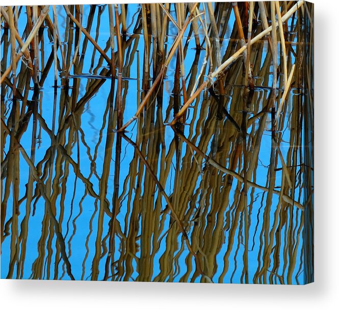 Reeds Acrylic Print featuring the photograph Vertical Reflections by Steven Milner